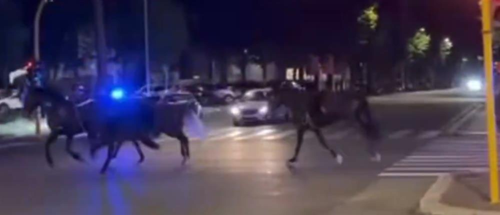 Χάος στη Ρώμη: Δεκάδες άλογα εκτός ελέγχου σε κεντρική λεωφόρο – Πέντε τραυματίες (βίντεο)