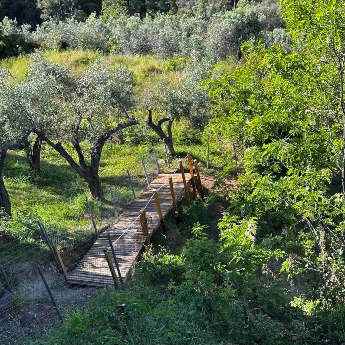 Ακόμα ένα σημαντικό έργο ολοκληρώθηκε σε παραλία της Εύβοιας
