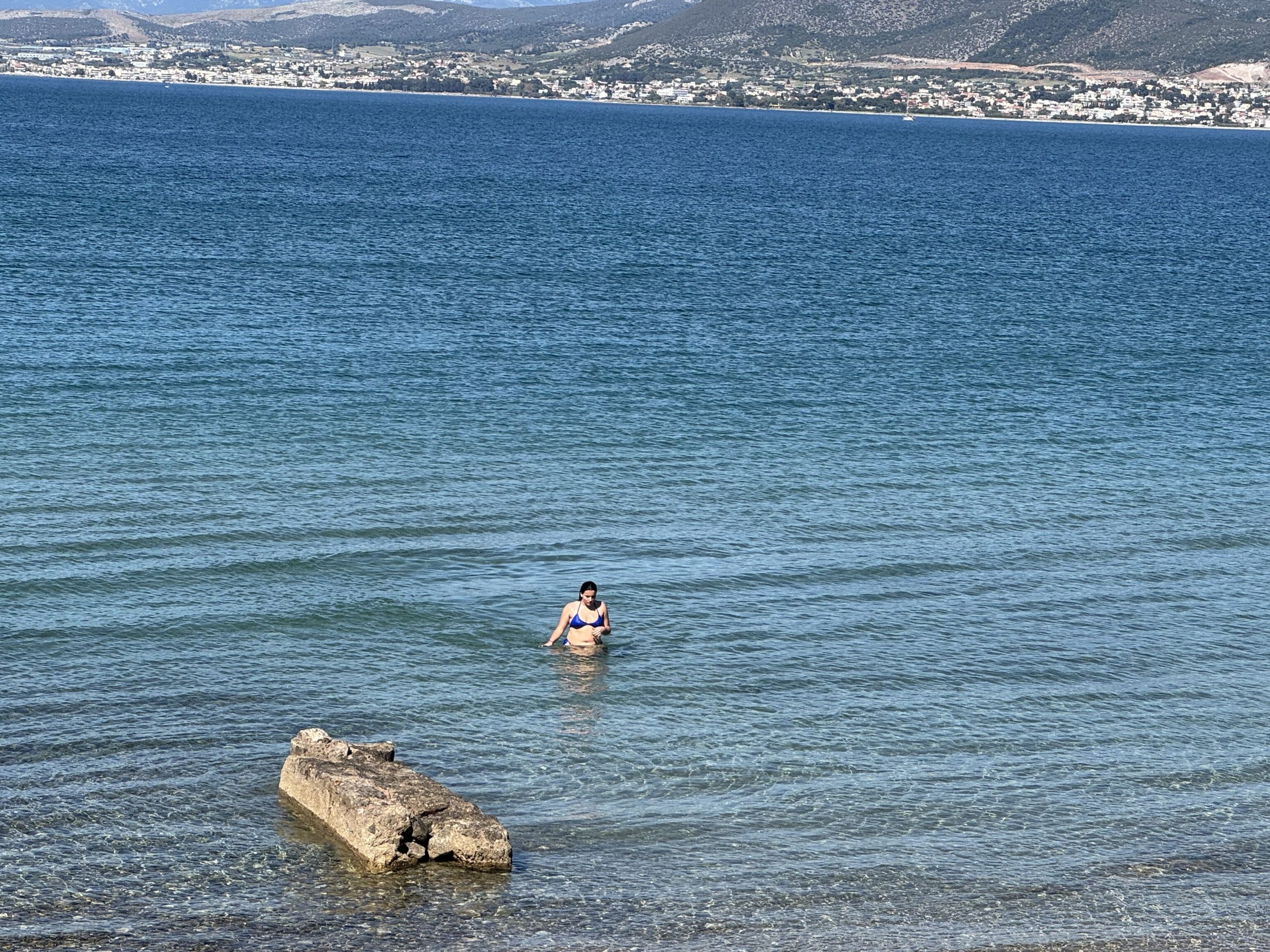 Σοβαρό πρόβλημα με τις μέδουσες στην Εύβοια: Γέμισε ακόμα μια παραλία