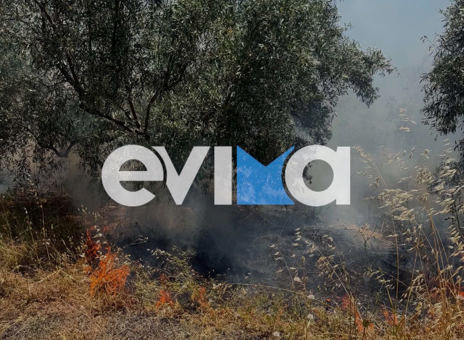 Φωτιά τώρα στην Εύβοια δίπλα σε κεντρικό δρόμο