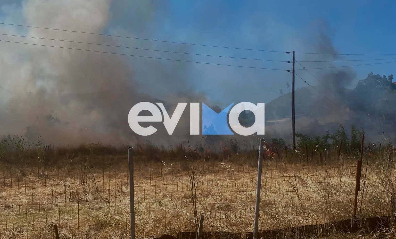 Μεγάλη φωτιά τώρα στην Εύβοια