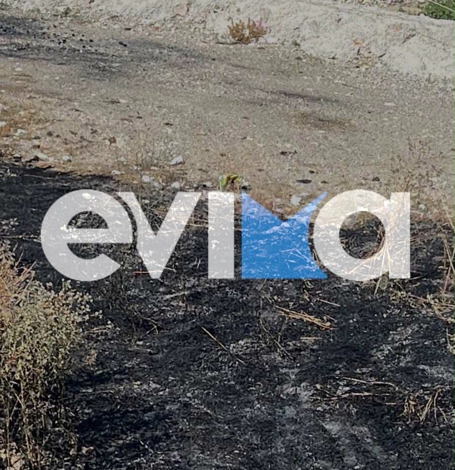 Υπό έλεγχο η φωτιά στην Ιστιαία Ευβοίας