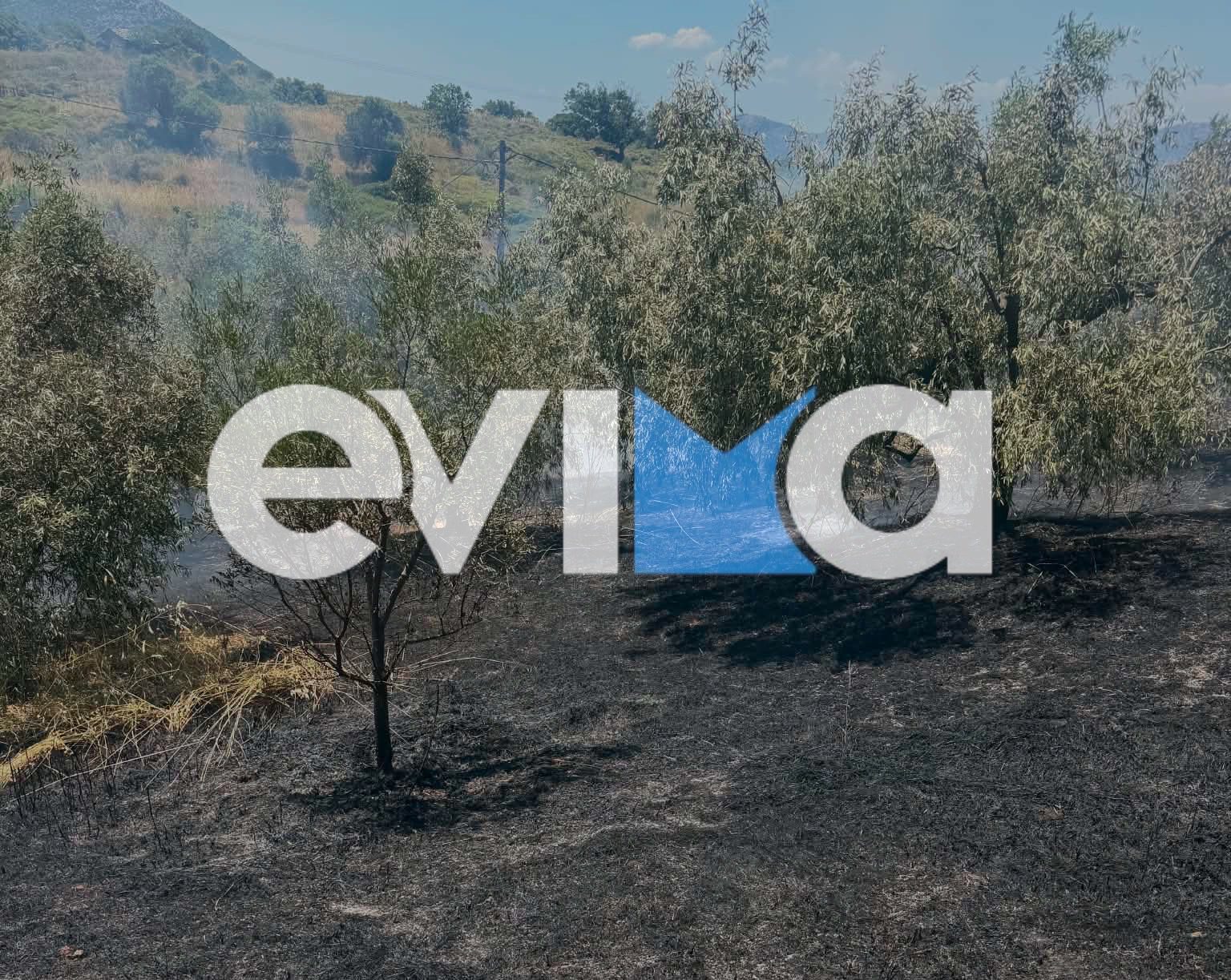 Υπό έλεγχο η φωτιά στην Εύβοια