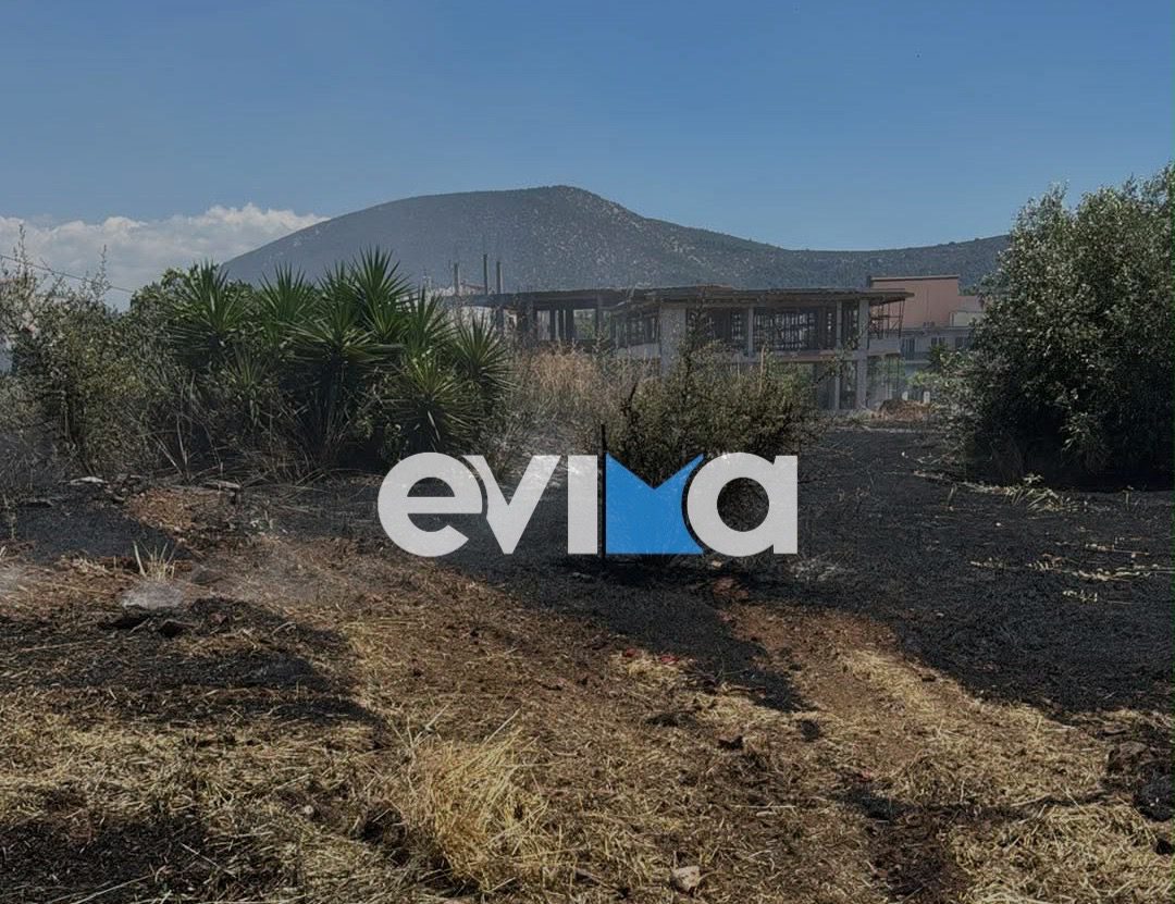 Φωτιά κοντά σε σπίτια στην Εύβοια – Τέθηκε υπό έλεγχο