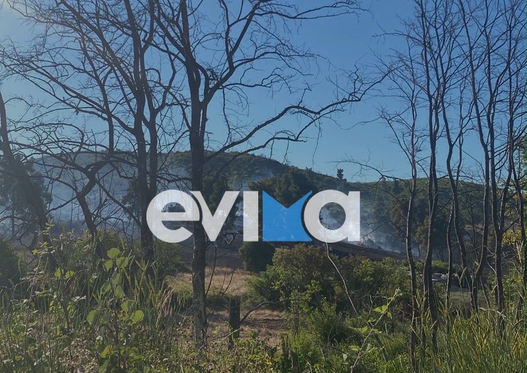 Φωτιά στην Εύβοια: «Βόμβα» του δήμαρχου για το πώς ξεκίνησε η φωτιά