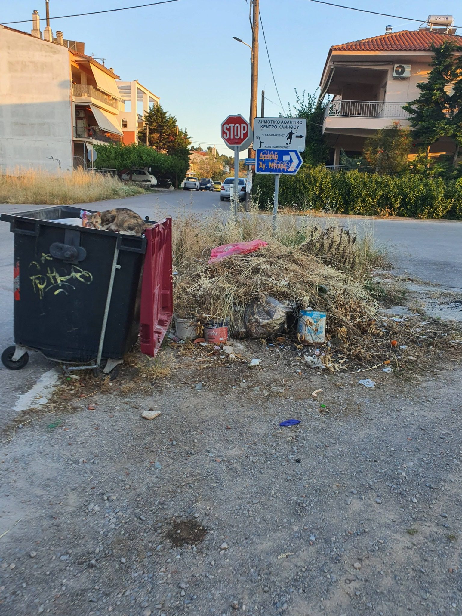 Αδιανόητο περιστατικό στην Εύβοια: Γέμισαν σκουπίδια μια ολόκληρη γειτονιά