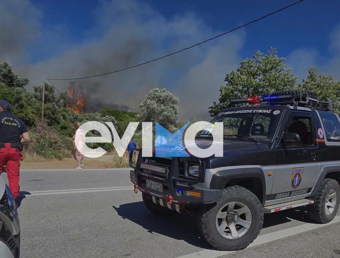 Σε «κίτρινο συναγερμό» σήμερα η Εύβοια! Υψηλός κίνδυνος πυρκαγιάς στο Νησί