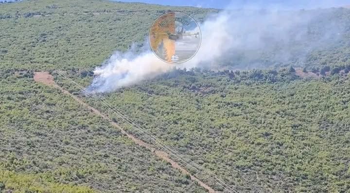 Φωτιά τώρα στη Βοιωτία