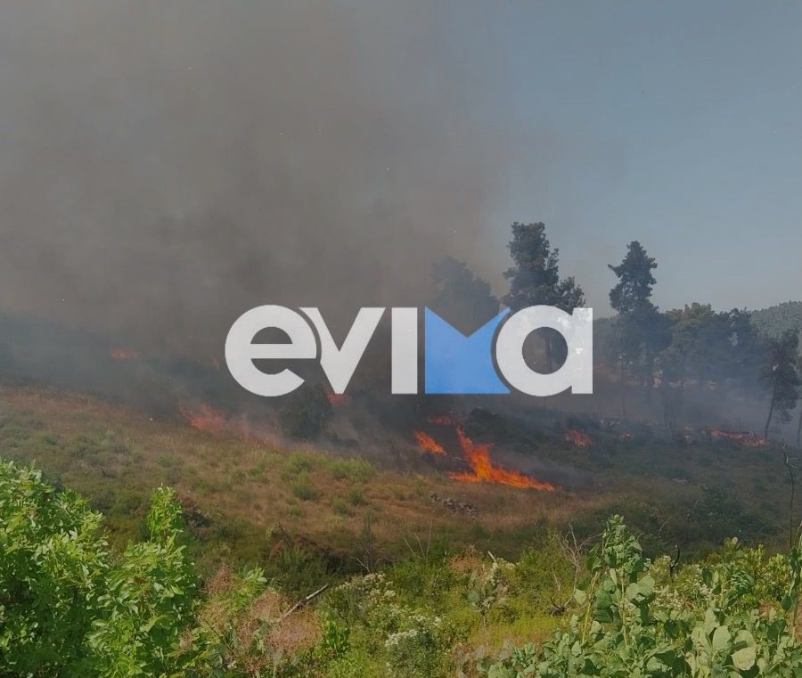 Πορτοκαλί συναγερμός σήμερα για φωτιά στην Εύβοια: Που απαγορεύεται η κυκλοφορία