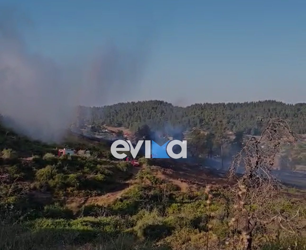 Σε ύφεση η Φωτιά στο Σπαθάρι Εύβοιας – Σε επιφυλακή όλη τη νύχτα η Πυροσβεστική