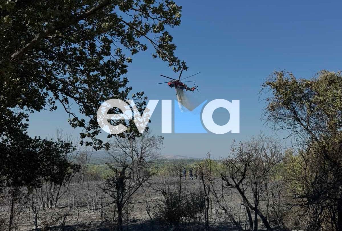 Υπό έλεγχο η φωτιά στην Εύβοια