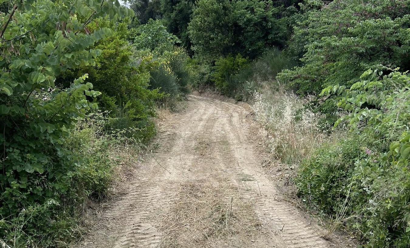 Σε αυτά τα χωριά της Εύβοιας κάνουν έργα αγροτικής οδοποιίας