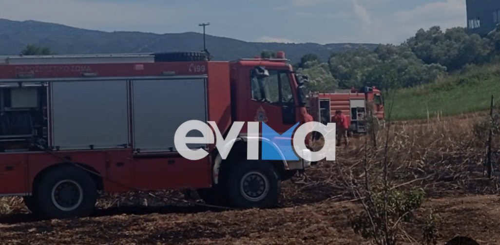 Υπό έλεγχο η φωτιά στην Εύβοια