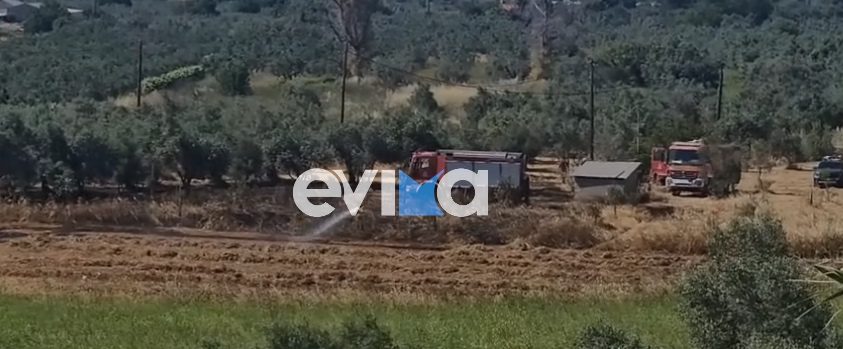 Φωτιά τώρα στην Εύβοια