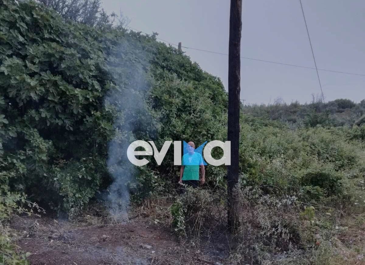 Φωτιές από κεραυνούς στην Εύβοια – Τις πρόλαβαν δασεργάτες