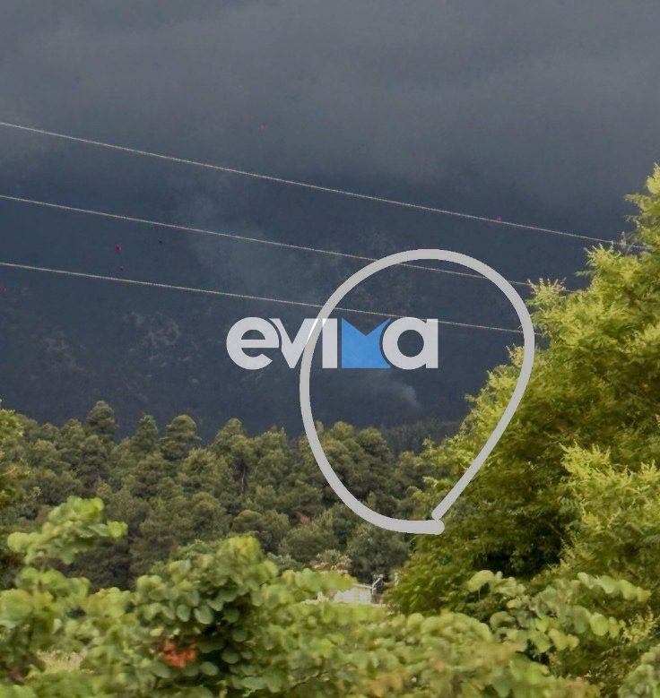 Φωτιά σε δασική έκταση στην Εύβοια – Συναγερμός στην Πυροσβεστική