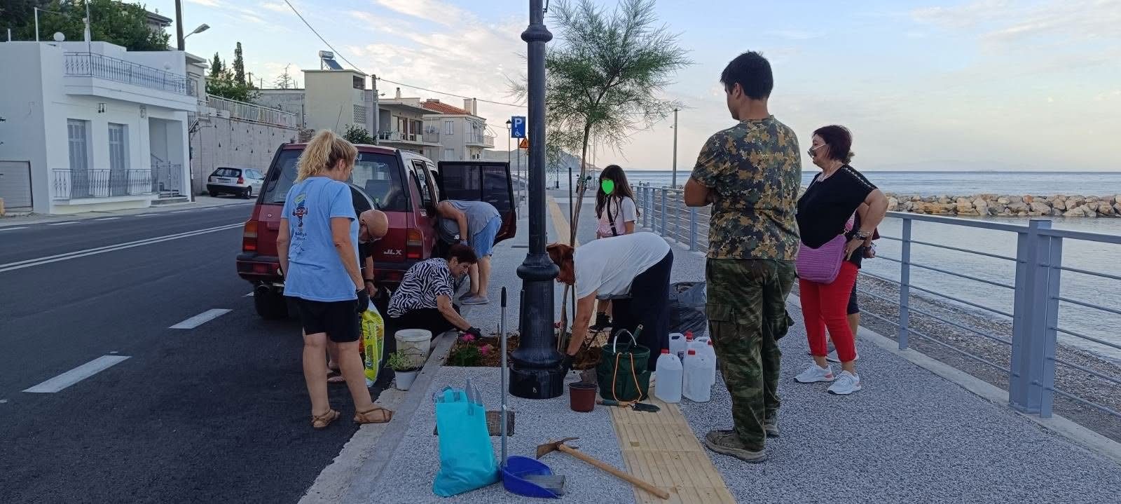 Εύβοια: Εθελοντές φύτεψαν λουλούδια και άλλαξαν την εικόνα αυτής της ακτής