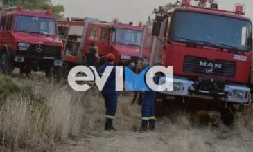 Υπό έλεγχο η φωτιά στην Εύβοια – Τι έκαψε