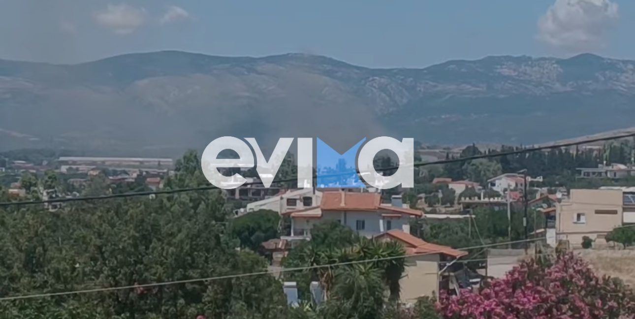 Φωτιά τώρα στην Εύβοια