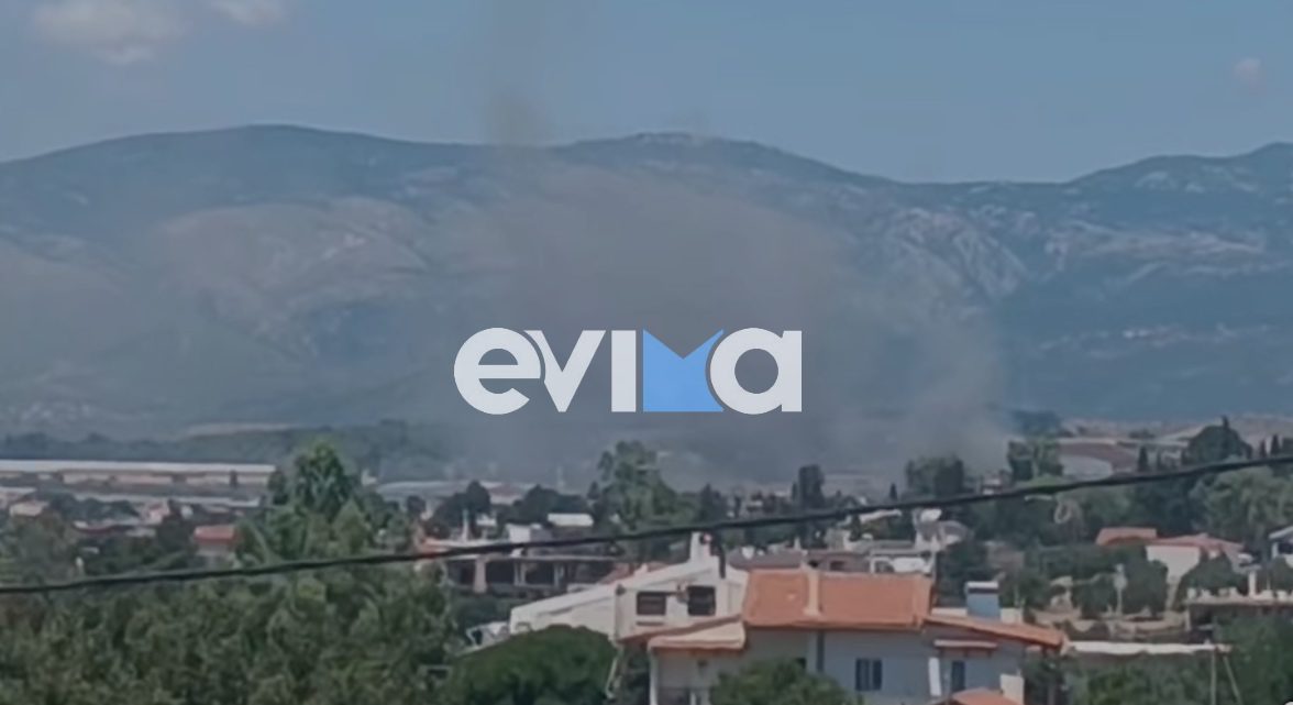 Υπό έλεγχο η φωτιά στην Εύβοια – Τι έκαψε