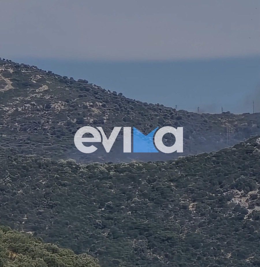 Νέα φωτιά τώρα στην Εύβοια