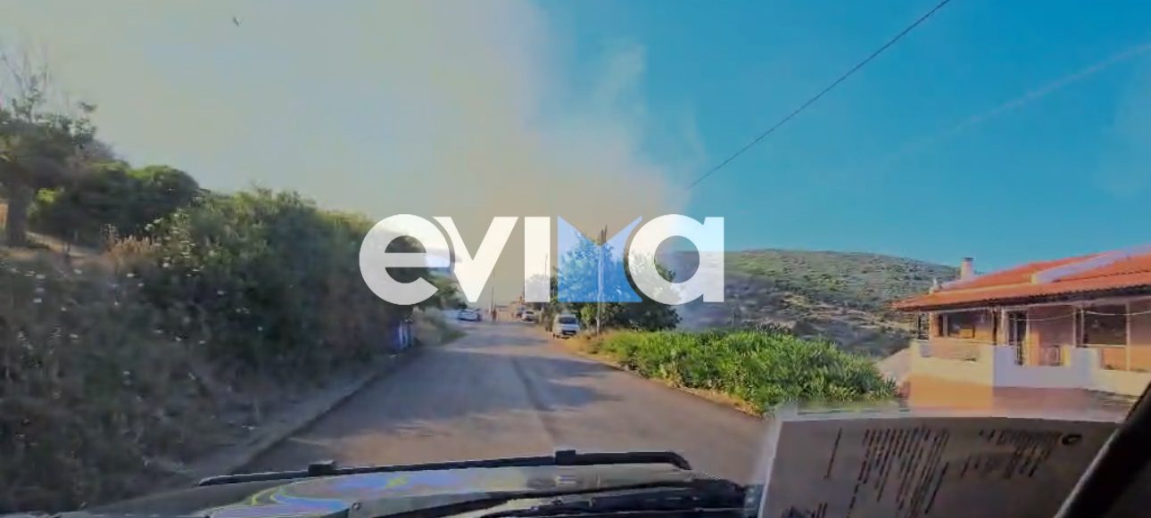 Μεγάλη φωτιά στην Εύβοια: Στις αυλές των σπιτιών οι πρώτες φλόγες- Νέο βίντεο
