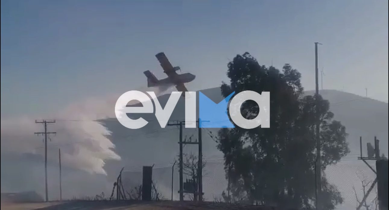 Μάχη με τις φλόγες στην Εύβοια: Ρίψεις πάνω από σπίτια για να προλάβουν τη νύχτα (vid)