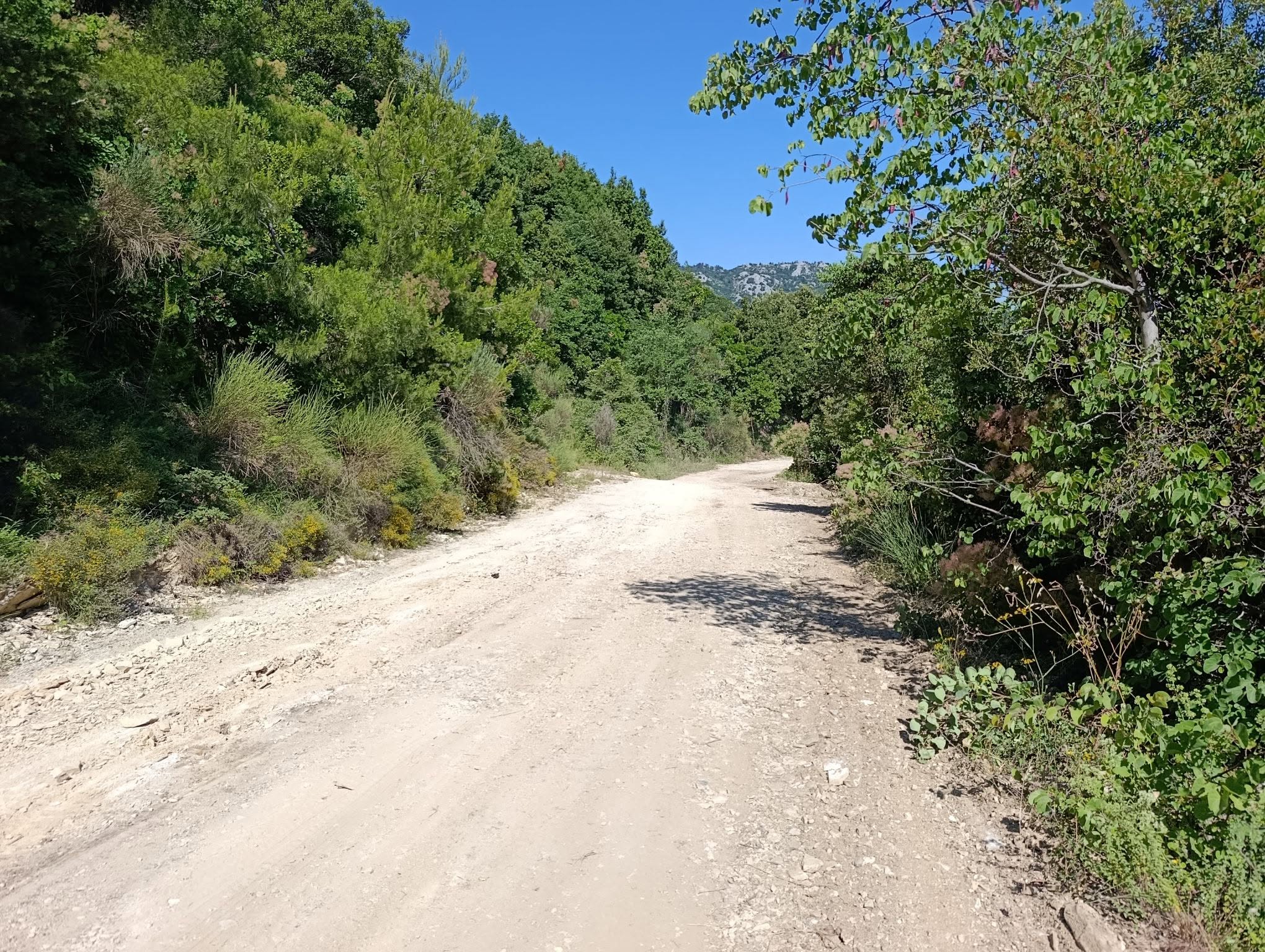 Απαγορεύτηκε το κάμπινγκ σε ακόμα μια παραλία της Εύβοιας – Η ανακοίνωση