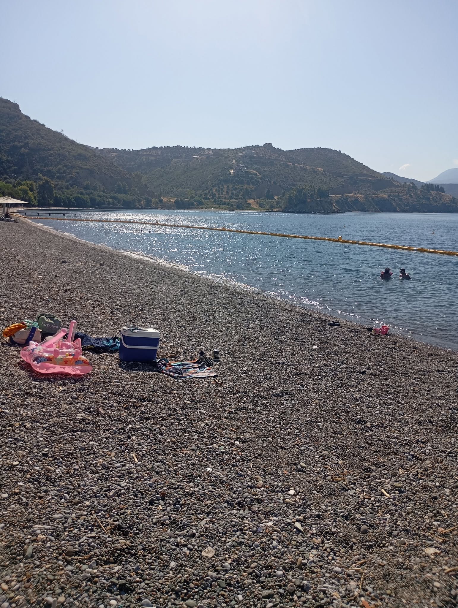 Από αυτή την παραλία της Εύβοιας εξαφανίστηκαν εντελώς οι μέδουσες