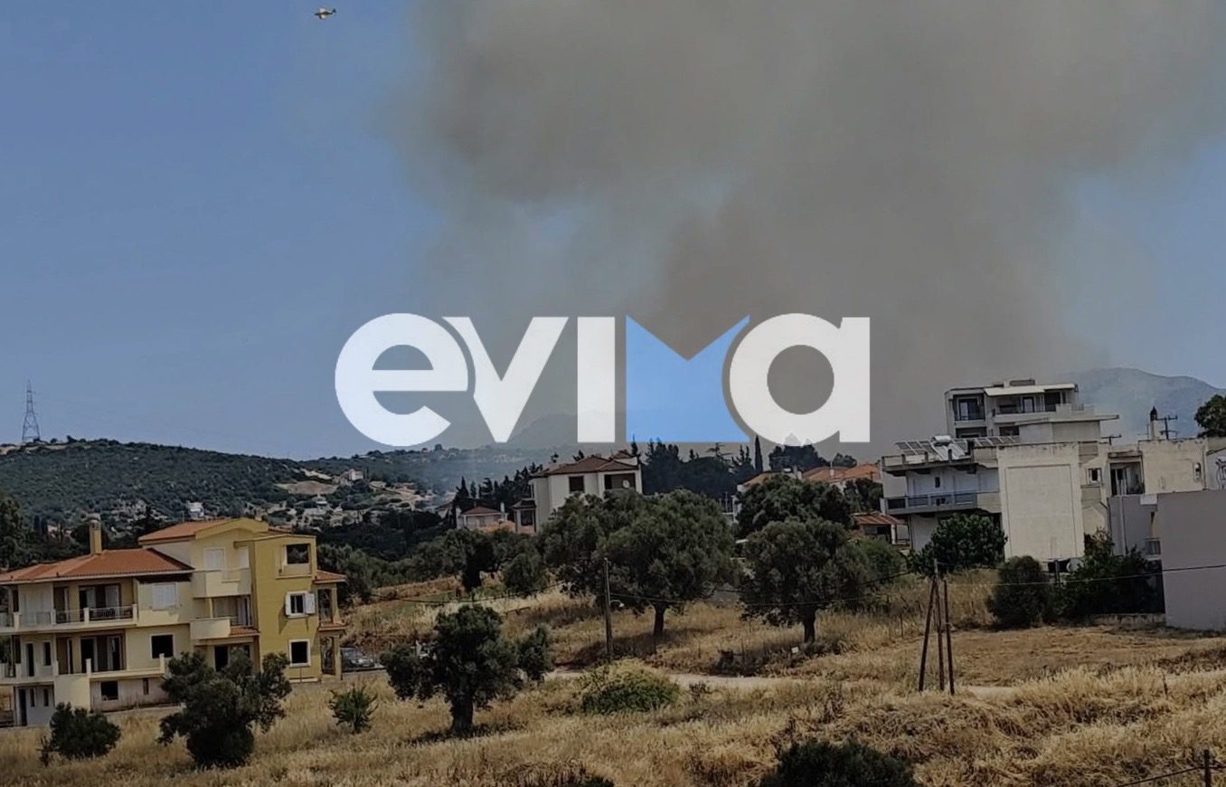 Μεγάλη φωτιά στην Εύβοια κοντά σε σπίτια – Ήχησε το 112