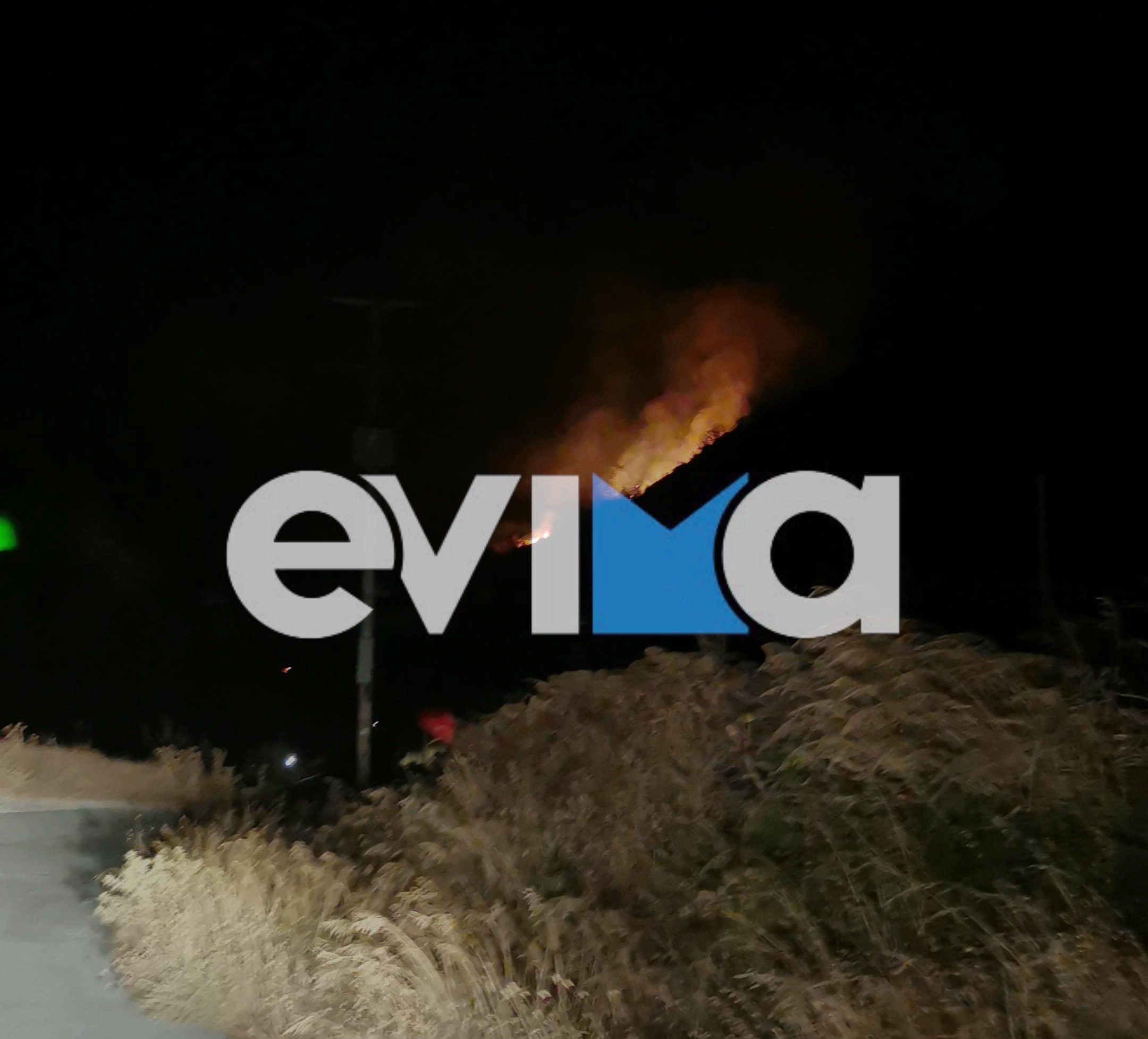 Φωτιά σε δασική έκταση στην Κάρυστο: Νυχτερινή μάχη της Πυροσβεστικής (pics)