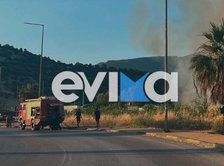 Νεότερα για τη φωτιά σε κατοικημένη περιοχή στην Εύβοια – Που εκδηλώθηκε- Νέες εικόνες και βίντεο