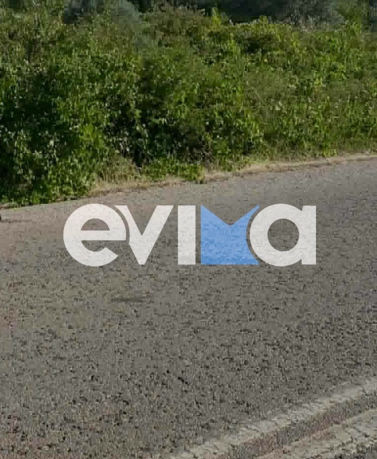 Σοκαριστικό τροχαίο στην Εύβοια: Πατέρας και παιδί σώθηκαν από θαύμα