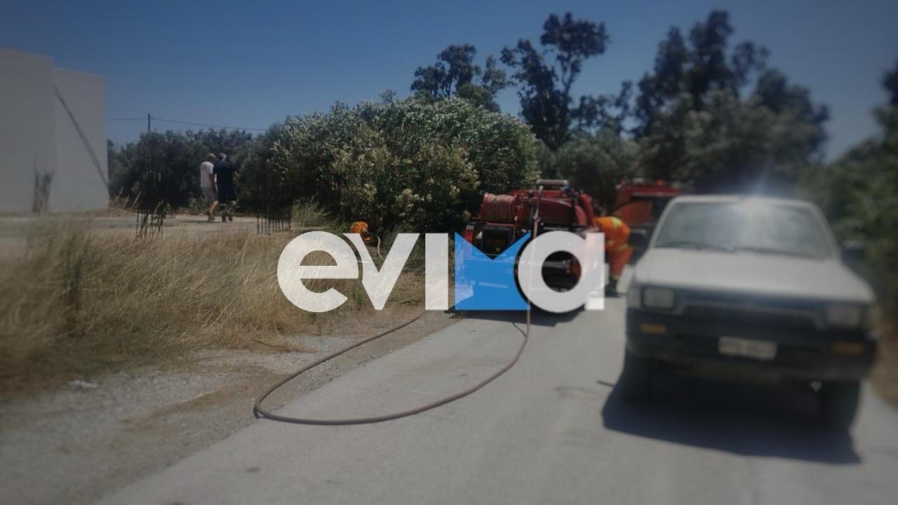 Φωτιά τώρα στην Εύβοια