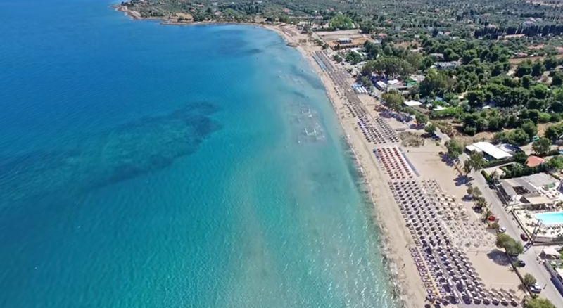 Συναγερμός στην Εύβοια: Πυροτεχνήματα δίπλα σε ξερά χόρτα – «Από θαύμα δεν κάηκαν όλα»