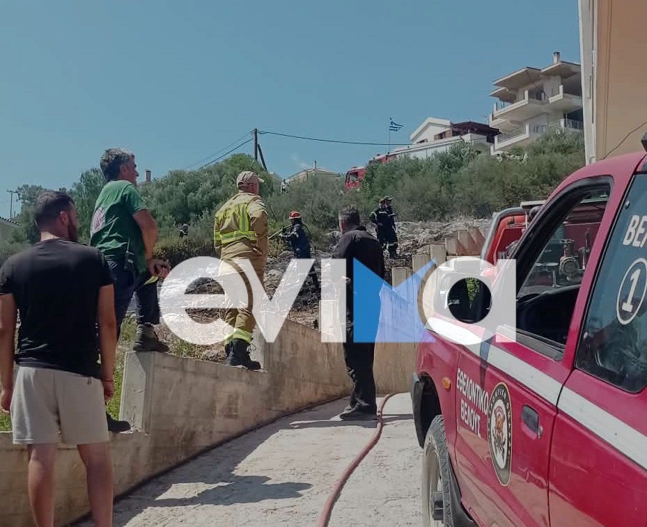 Νεότερα για τη φωτιά στην Εύβοια δίπλα σε σπίτια: Νέες εικόνες και βίντεο