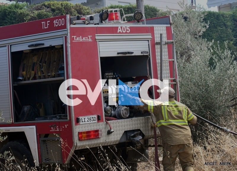 Υψηλός κίνδυνος πυρκαγιάς σήμερα στην Εύβοια