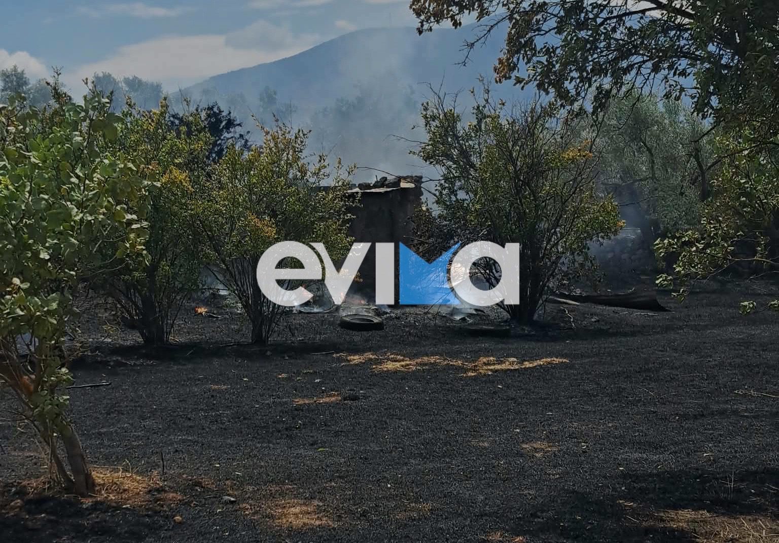 Οριοθετήθηκε η φωτιά στην Εύβοια: Δεν απειλούνται κατοικίες- Πώς ξεκίνησε