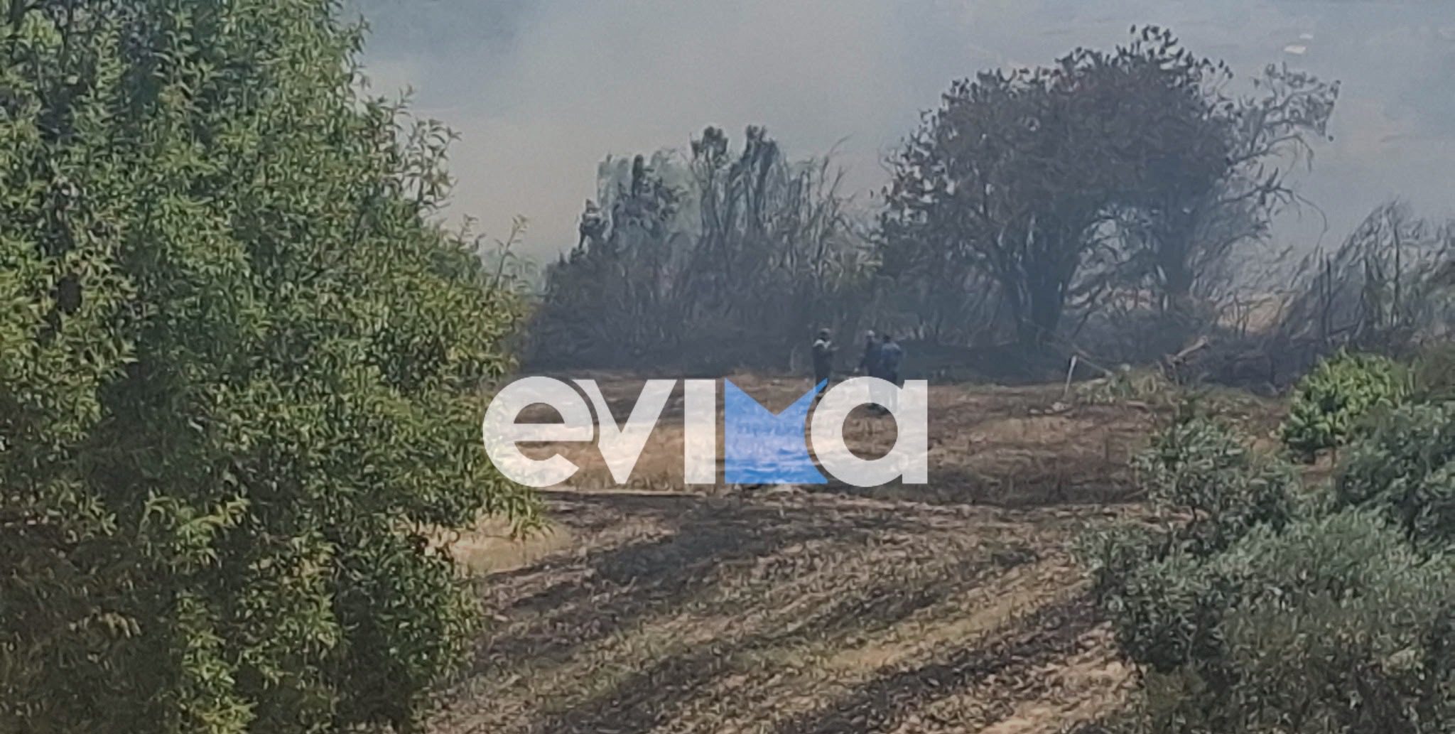 Εύβοια: Σε ύφεση η φωτιά στον οικισμό Λάτα Αλιβερίου – Πόσα στρέμματα έκαψε
