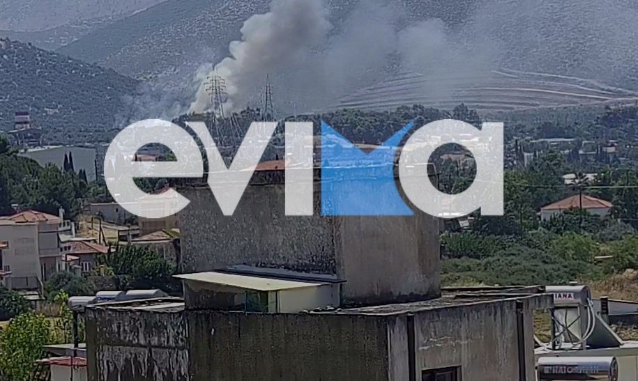 Φωτιά στην Εύβοια κοντά σε εργοστάσιο