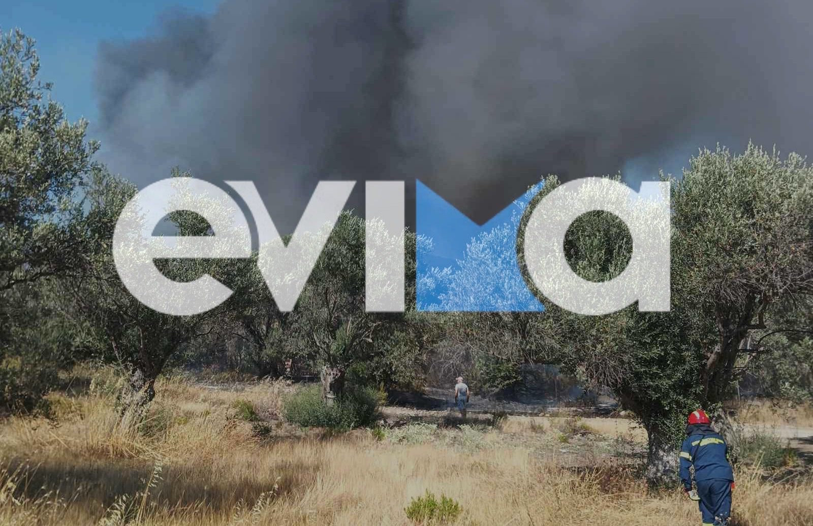 Φωτιά τώρα σε χωριό της Εύβοιας – Απειλείται σπίτι