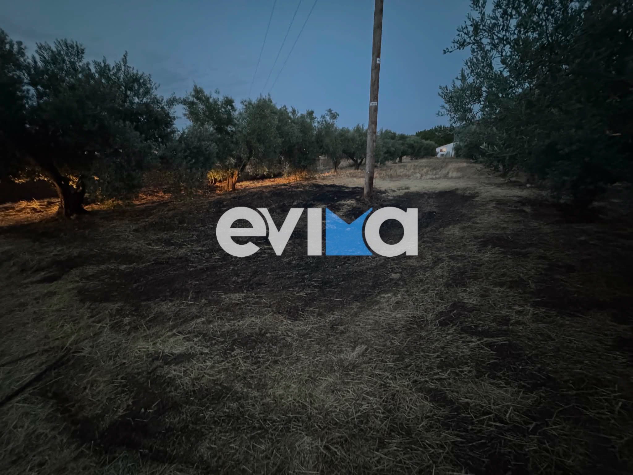 Συναγερμός στην Εύβοια: Δύο φωτιές ξέσπασαν ταυτόχρονα – Οι πρώτες εκτιμήσεις