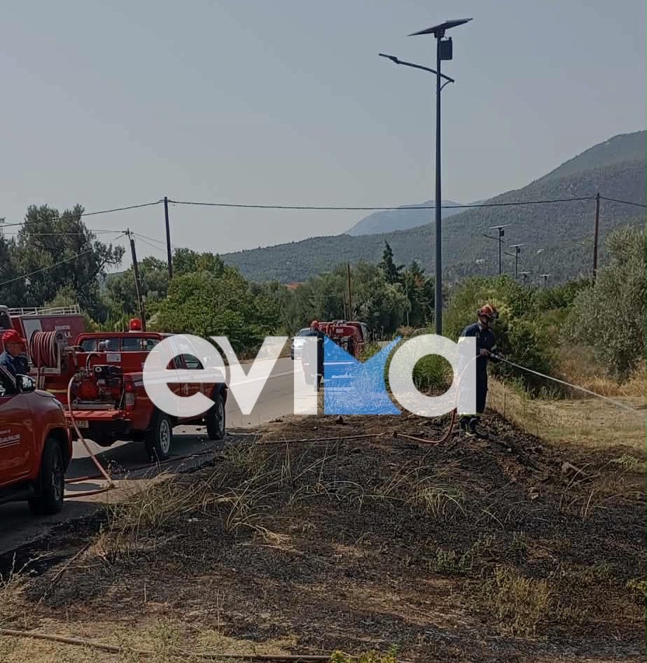 Νέα φωτιά κοντά σε δάσος στην Εύβοια
