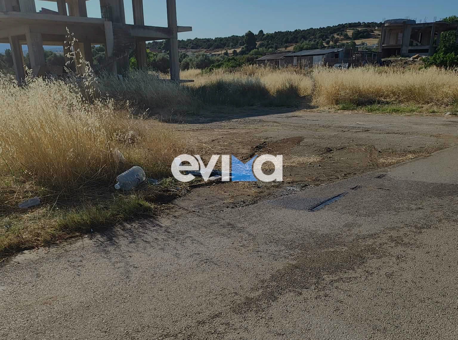 Σοβαρό τροχαίο στην Εύβοια: Αυτοκίνητο προσέκρουσε σε κολώνα και ανετράπη