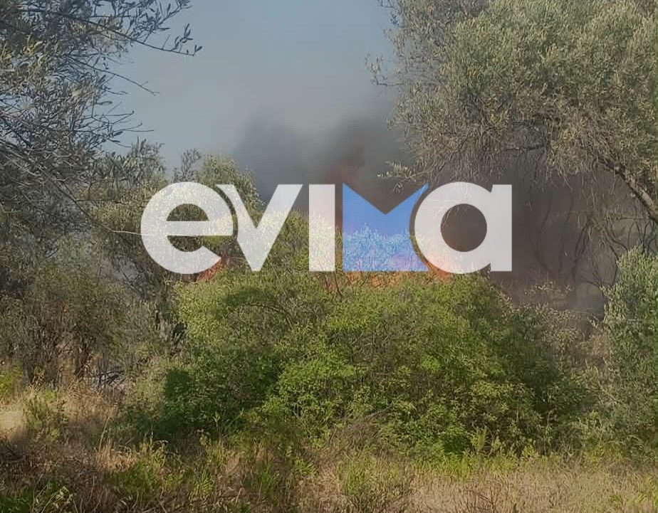 Νεότερα για τη φωτιά στην Εύβοια: Τι δήλωσε στο evima.gr ο δήμαρχος Αντώνης Σπυρόπουλος