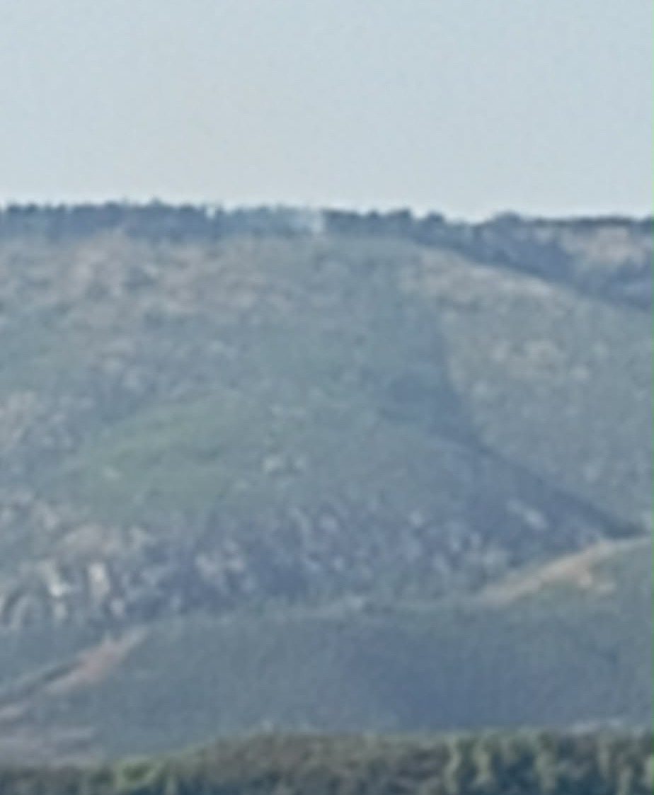 Φωτιά τώρα σε δασική έκταση στην Εύβοια