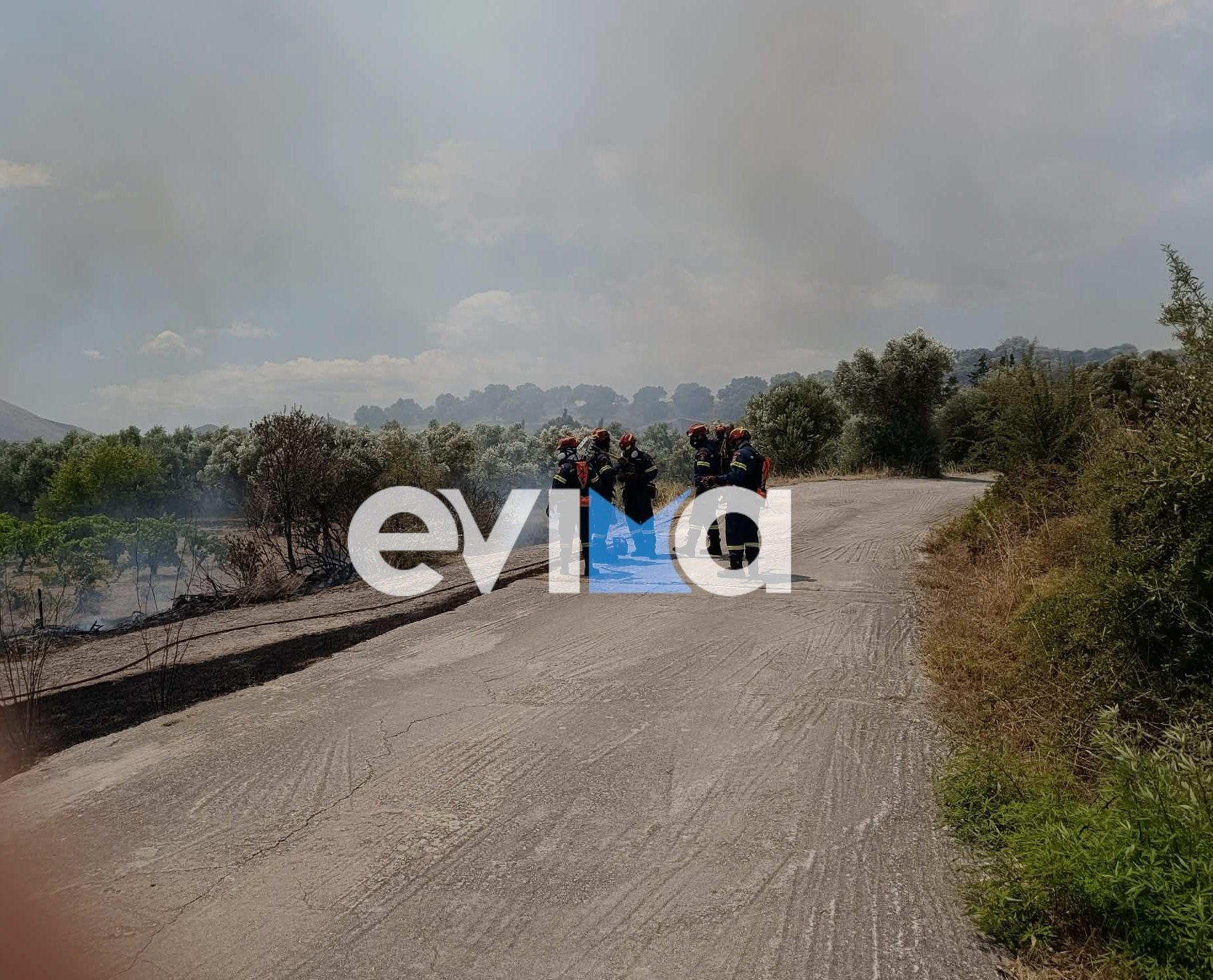 Νεότερα για τη φωτιά στην Εύβοια- Στο σημείο ισχυρές δυνάμεις της Πυροσβεστικής