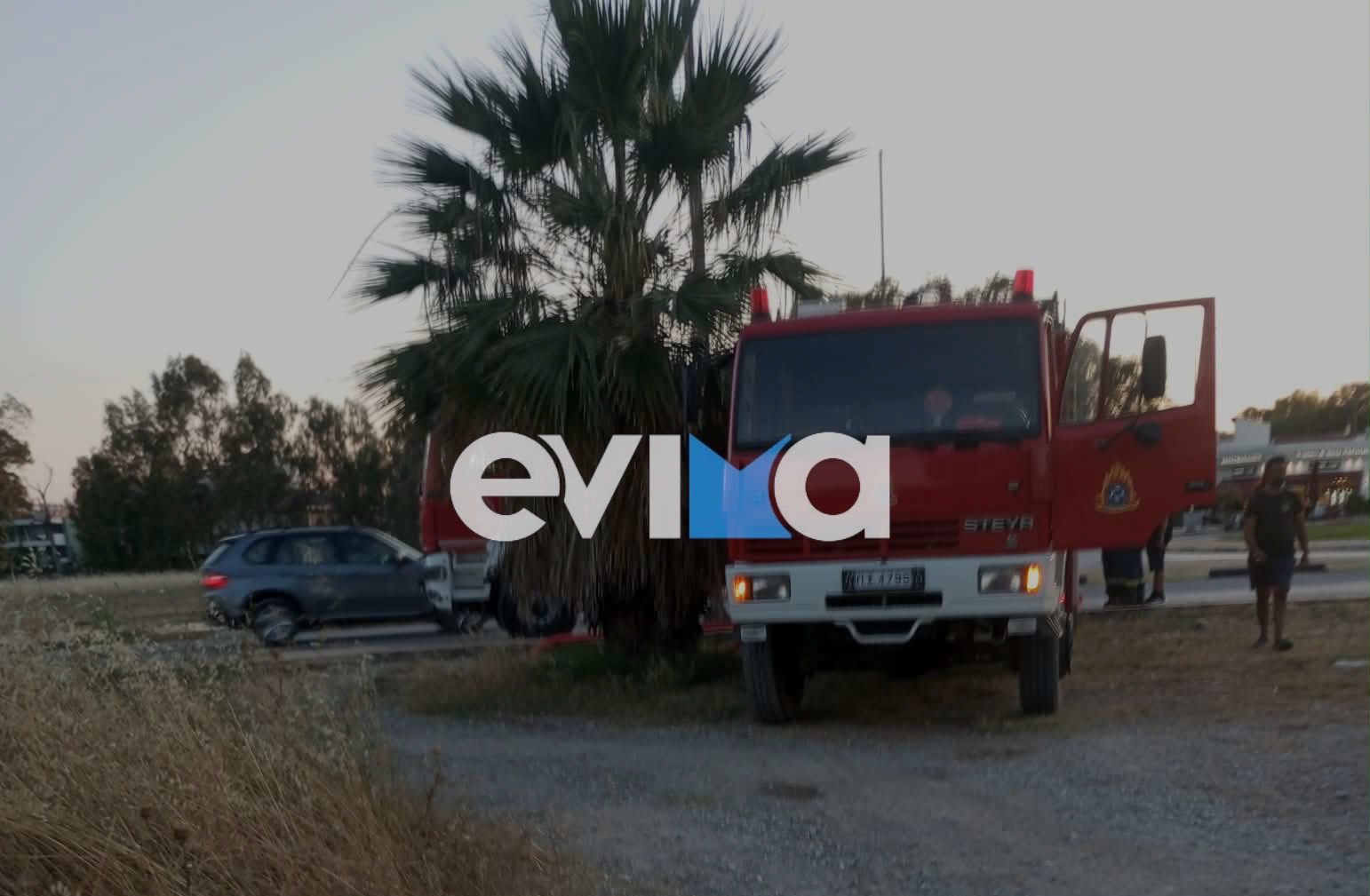 Συνελήφθησαν δύο ανήλικοι για τη χθεσινή φωτιά στην Εύβοια