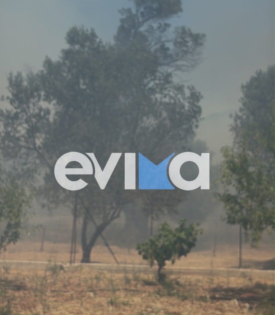 Νεότερα για τη φωτιά στην Επισκοπή Εύβοιας: Μάχη για να σώσουν τα σπίτια οι πυροσβέστες