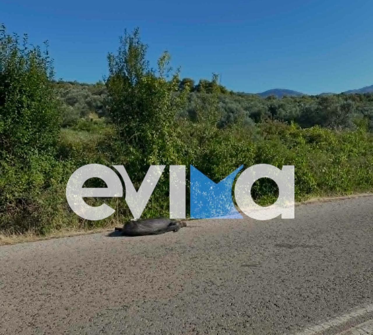 Σοκαριστικό τροχαίο στην Εύβοια: Πατέρας και παιδί σώθηκαν από θαύμα